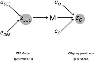 Quantitative Genetic Modeling of the Parental Care Hypothesis for the Evolution of Endothermy